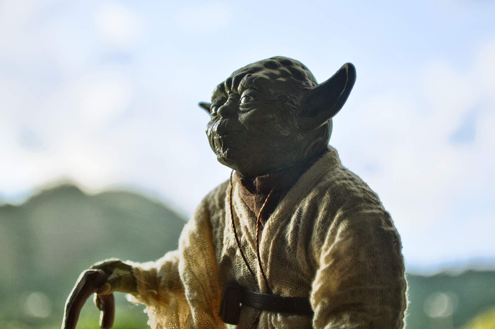 A Yoda figure is standing in front of a tree.