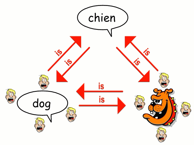 Chien is a dog.