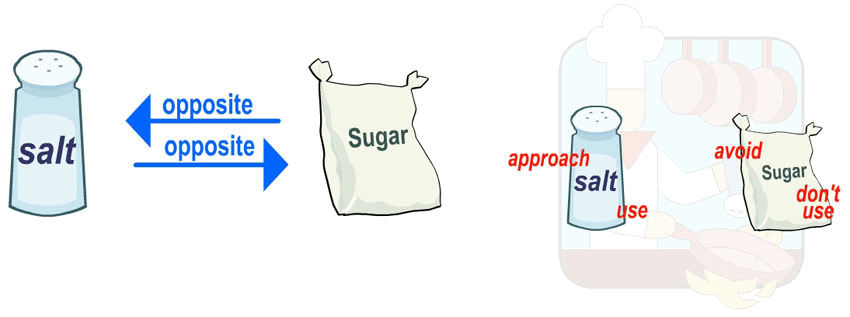 A diagram depicting the various types of sugar.