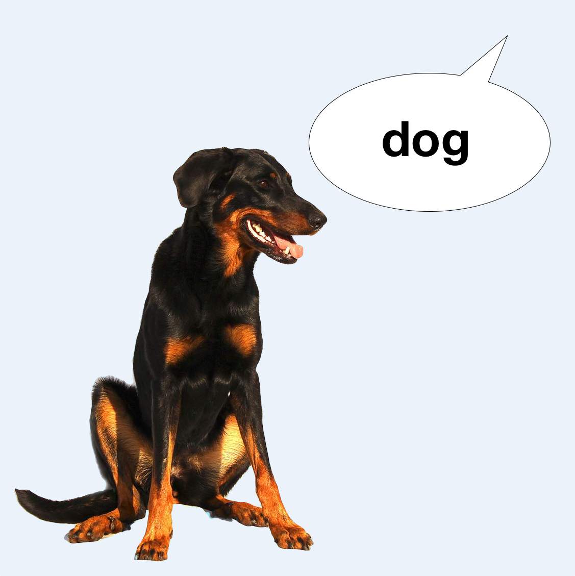 A black and tan dog with a speech bubble demonstrating 20.6 First Type of Audience Control.