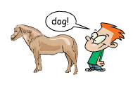 A boy is next to a horse with a speech bubble that says dog, illustrating shared features.