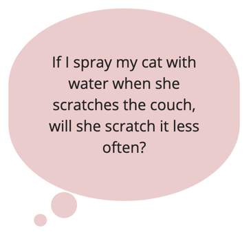 Conducting single-subject research by spraying your cat with water when she scratches the couch serves the purpose of reducing her scratching behavior.