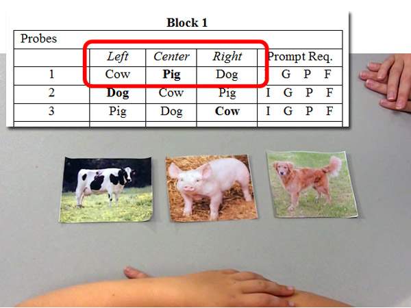 An arrangement of pictures depicting a cow and a pig on a table.