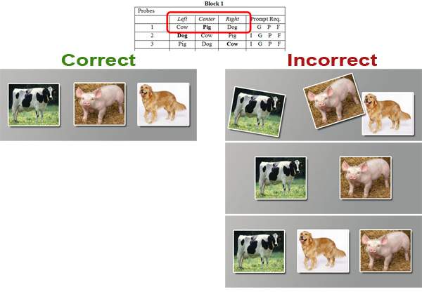 Two pictures of a cow and a sheep with reminders of correct and incorrect stimuli.