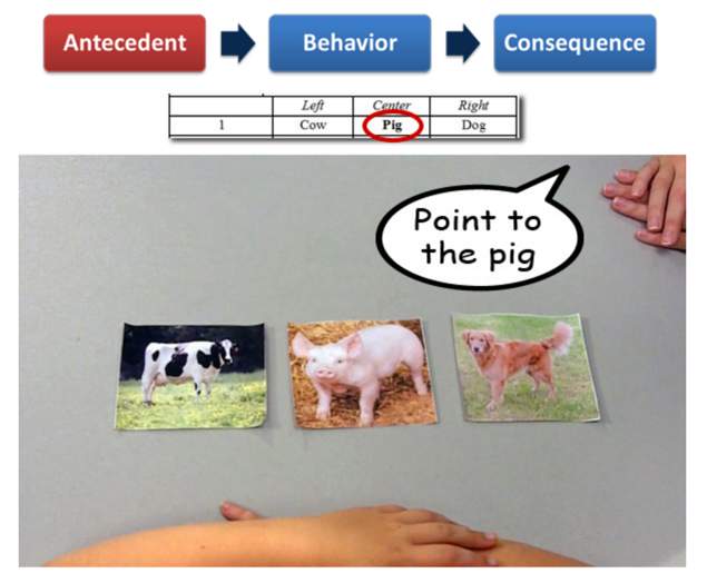 Presenting a picture of a pig and a dog with the words pointing to the pig as an instruction.