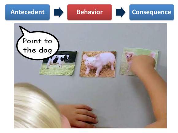 A child's response to a picture of a cow is correct.