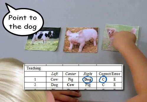 Correct response: A child is pointing to a picture of a dog on a wall as an example.