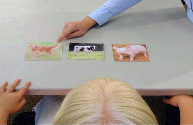 A child is using prompts to explore pictures of animals on a table.