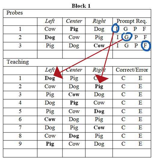 A prompt level table for determining the number of pigs in a group during a teaching trial.